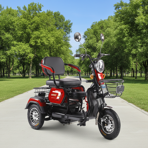 Nouveau Tricycle Électrique à 3 Roues pour Adultes, 60V 800W, 2 Places avec Panier, Idéal pour les Terrains de Golf et les Trajets Urbains - Vente Flash - Product Image 1