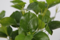 Vente directe d'usine plantes de Table bonsaï artificielles petites plantes en pot arbre artificiel maison Table bureau décoration
