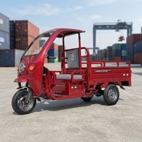 Meilleur Prix Tricycle Électrique à Trois Roues, Caisse de Transport Ouverte, Double Amortisseur à Ressort, 60V 351-500W, pour Logistique Rurale et Petite Expédition