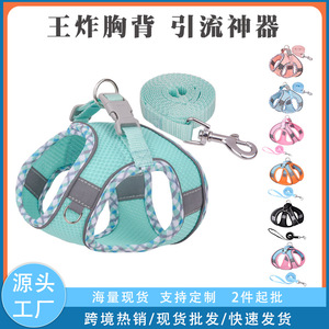 Harnais de poitrine réfléchissant et respirant pour petits chiens avec laisse - Product Image 4