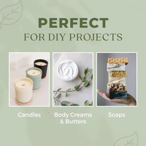 Aceite Esencial de <span class=keywords><strong>Albahaca</strong></span> Puro, Orgánico y Natural de Primera Calidad al por Mayor, 100% Fresco, Etiqueta Privada, Aceites Esenciales, Aceite de <span class=keywords><strong>Albahaca</strong></span> - Product Image 6