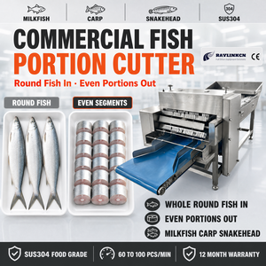 Atelier de Transformation Portionneuse Professionnelle de Poisson Acier Inox Alimentaire Tronçons Uniformes pour Chanos Morceaux - Product Image 3