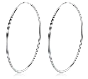 Wholesale 925 Sterling Silver Hoop Earrings Circle Estatement Exaggerated Large Earrings Variety Of Size
