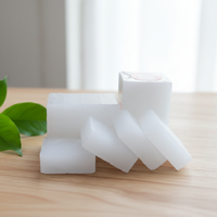 Vente directe usine – Comprimés de camphre raffiné pour la prévention des mites, la spiritualité, le yoga, la Pooja et la parfumerie d'intérieur Botanicas