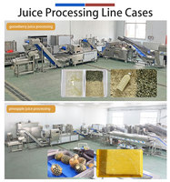 0,5-5T/H Fruitpersmachine voor mango, limoen, appel en ananas sap.