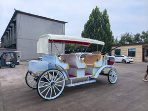 Charrette à chevaux électrique, calèche royale tirée par des chevaux, transport spécial, chariot <span class=keywords><strong>de</strong></span> <span class=keywords><strong>mariage</strong></span>, calèche à chevaux pour <span class=keywords><strong>location</strong></span> - Product Image 4