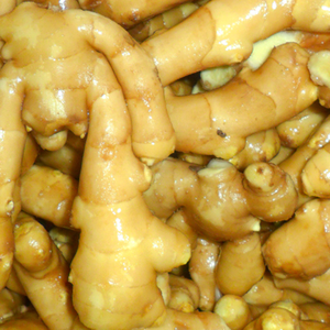 Xuất Khẩu Rễ Gừng Tươi - Product Image 4