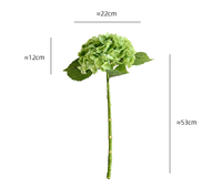 Hortensia artificiel en latex de haute qualité, toucher réel, grande tête, vert et blanc, imperméable, fleur d'intérieur/extérieur, Nouvel An chinois