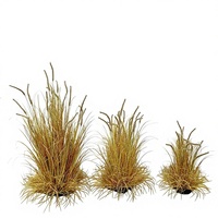 Plantes en pot artificielles résistantes au feu LE-269, 60-120 cm, fausses herbes de queue de chien en balles pour projets de paysagisme décoratif