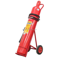Matrice de poinçonnage personnalisée portable pour cylindre d'extincteur vide ABC à poudre chimique sèche (DCP) à vendre 1KG 2KG 4KG 6KG 9KG 12KG