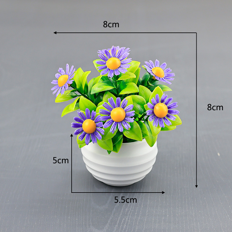 Deep Purple [White Pot]