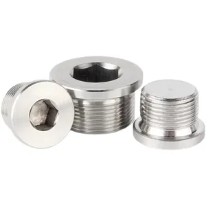 304 Stainless Steel M8-M30 Hex Socket Screw Plug Custom Size Plain Hexagon Socket Thread Oil Pipe Plugs