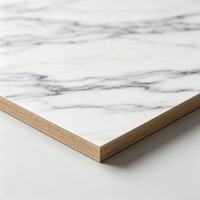 Panneau de mélamine MDF/panneau de particules 1220*2440*12mm 15mm 18mm avec placage en grain de marbre