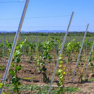 Poteau de signalisation carré perforé en acier galvanisé, poteaux en U, poteaux en U avec trous, kit de poteaux de signalisation - Product Image 6