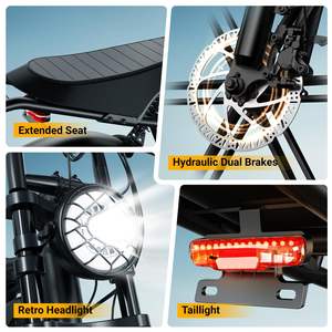 Bête monstre gros pneu E-Bike conquérir n'importe quel paysage montagne neige sable élégant urbain gros pneu électrique Cruiser vélo - Product Image 5