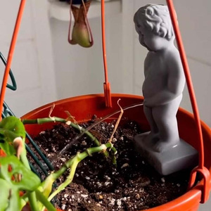 <span class=keywords><strong>Pipi</strong></span> mes plantes résine jardin Sculpture système d'irrigation goutte à goutte pour plante d'intérieur Pot <span class=keywords><strong>de</strong></span> fleur abreuvoir pour une croissance saine du jardin - Product Image 4