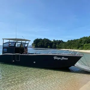 Allsealion 32m Steel LCT type River and Sea Coastal Container Barge Boat for sale