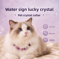 Collier de luxe en cristal pour animaux de compagnie, style princesse, réglable, avec strass scintillants, pour chiots, avec boîte cadeau pour petits chiens