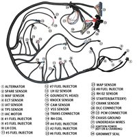 Harnais de câblage LS 4.8 5.3 6.0 Compatible avec les moteurs Vortec 1999 à 2006 GM 4L60E avec Transmissions par adaptateur