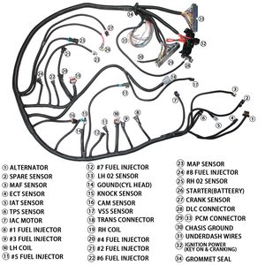 Harnais de câblage LS 4.8 5.3 6.0 Compatible avec les moteurs Vortec 1999 à 2006 GM 4L60E avec Transmissions par adaptateur - Product Image 6