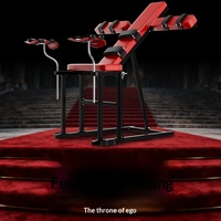 Accessoires sexuels Chaise Articles pour adultes Flirt Liaison Sexe Menottes Entraînement BDSM SM