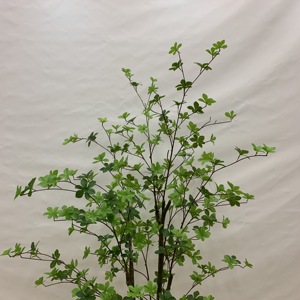 Árbol Artificial <span class=keywords><strong>de</strong></span> Enkianthus Perulatus, Flor <span class=keywords><strong>de</strong></span> <span class=keywords><strong>Nieve</strong></span> Japonesa Artificial con Follaje Verde Denso para Decoración <span class=keywords><strong>de</strong></span> Interiores, Hogar y Oficina, Varios Tamaños - Product Image 4