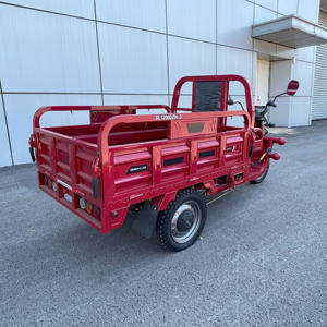 Tricycle électrique de fret 60V 1000W à <span class=keywords><strong>3</strong></span> roues, moto à benne basculante pour le transport de marchandises, certifié CEE pour le transport de passagers - Product Image 3