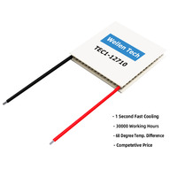 Modules de refroidissement thermoélectriques Peltier TEC1-12710 40*40mm 12V 10A Semi-conducteurs pour installations médicales et appareils de beauté