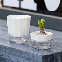 Pot de fleurs transparent auto-arrosant respirant pour bulbes, idéal pour la culture hydroponique de tulipes, lys et jacinthes