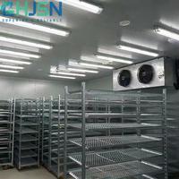Cámara Frigorífica Solar de 20 pies 40HQ, Contenedor Refrigerado, Congelador Walk-in, Chambre Froide Solaire, Congelador con Energía Solar