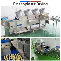 500-700kg/uur Aangepaste fruitproductielijn motor voor wassen, snijden, drogen, sorteren en verpakken van baby-ananas/fruit