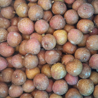 Iqf Frozen Groothandel Lychee Litchi Brc Haccp Iso Goedgekeurd Premium Kwaliteit Bevroren Fruit Oorsprong China