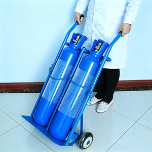 1. Chariot à roulettes en acier inoxydable de qualité médicale pour bouteille de gaz/oxygène avec roulettes silencieuses pour hôpital et clinique - Product Image 4