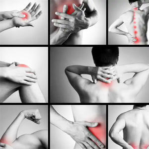 Levensmiddelenadditieven Boviene Msm Chondroïtinesulfaat Natriumcapsule 25Kg Supplementen Chondroïtinesulfaat - Product Image 2