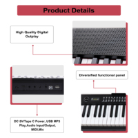 BD MUSIC 801 LED 88-Key Portable Electronic Keyboard & Digital Midi Controller with Built-In Speaker Lightweight Made of Plastic