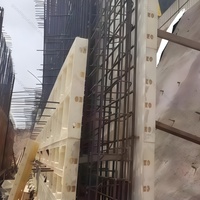 Système de coffrage en panneaux de plastique ABS PVC pour béton, moule pour dalle de drainage en terre battue pour la construction en béton
