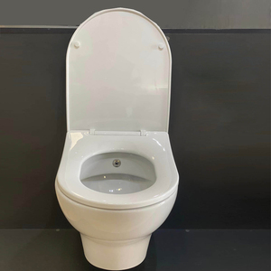 Combo de inodoro y bidé manual Chau Toalet con asiento de plástico para hotel, cisterna de cerámica opaca de color amarillo. - Product Image 3