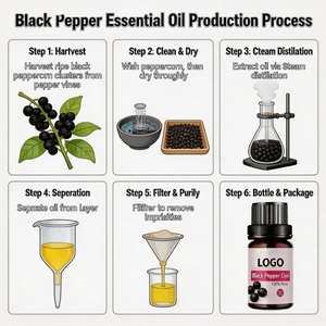 Aceite Esencial de <span class=keywords><strong>Pimienta</strong></span> <span class=keywords><strong>Negra</strong></span> 100% Puro y Natural de Alta Calidad al por Mayor, 10 ml, Destilado al Vapor, para Todo Tipo de Piel, para Aromaterapia - Product Image 3