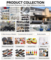 Vente directe d'usine, assiettes carrées en mélamine incassables, assiettes de présentation en plastique pour restaurant