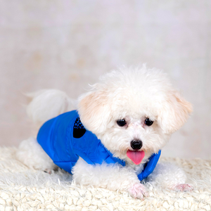 Heiße Herbst Winter Kleidung Teddy Schnauzer Pome ranian Corgi <span class=keywords><strong>Pet</strong></span> Schwarz Warm Down Weste Hunde kleidung - Product Image 4