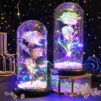 Bunga Abadi Bunga Plastik Mawar Emas Berlapis Foil Lampu LED Hadiah Kreatif Hari Valentine Hari Wanita Ornamen Lintas Negara