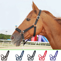 Bride colorée d'équipement de cheval de course en nylon de la meilleure qualité à vendre