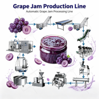 ORME Fruitpasta Jam Productielijn Aardbei Blauwe Bes Framboos Perzik Abrikoos Druif Kiwi Fruitjam Verwerkingsapparatuur