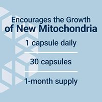 Capsules de supplément de peptides mitochondriaux OEM avec PQQ, L-Taurine, acide R-Lipoïque pour l'énergie cellulaire, la santé du cerveau et du cœur