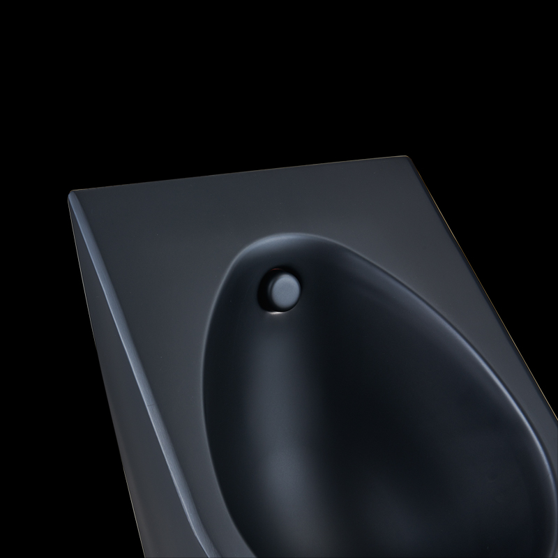 Lacquer painting stainless steel wall-hung urinal custom colored toilets urinal