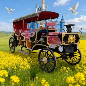 2025 Newest Hot Sale Wedding and Sightseeing Horse Drawn Carriage and Electric Horse Carriages for Sale - Product Image 5