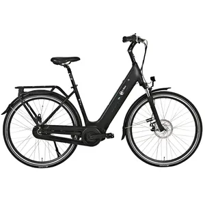Быстрая доставка китайского бренда 36 В 350 Вт Электрический велосипед 13.4Ah городской Электрический велосипед