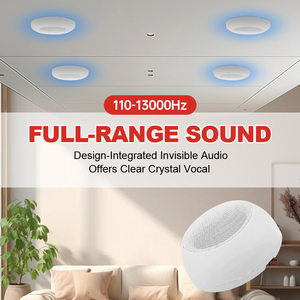 Haut-parleur de plafond en plastique de 5,5 pouces, 105G, économique, 25W, durable, son supérieur, pour les halls d'hôtel - Product Image 4