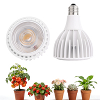 Supplier Cina Lampu LED COB E27 Par30 untuk Tanaman Indoor