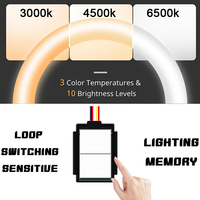 Sakelar Cermin LED Dimmer Sentuh Satu Tombol Manke 12V Smart IP23 yang Dapat Disesuaikan dengan Peredupan Tanpa Tingkatan dan Speaker Induktif